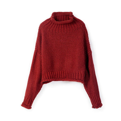 Knitted Turtleneck Sweater 2019 November New 